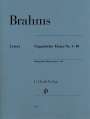 Johannes Brahms: Brahms, Johannes - Ungarische Tänze Nr. 1-10, Buch