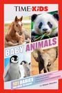 "Time for Kids" zeigt ein Fohlen, einen Panda, Pinguin-Küken und einen Baby-Elefanten. "Baby Animals" in großer Schrift.