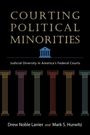 „COURTING POLITICAL MINORITIES: Judicial Diversity in America's Federal Courts.“ Darunter fünf bunte antike Säulen.
