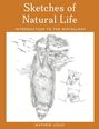 Text: "Sketches of Natural Life", "INTRODUCTION TO THE MISCELLANY", "MATHEW LOUIS." Zeichnung von einem hängenden Tier und Gesichtern.