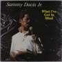 Sammy Davis Jr.: What I've Got In Mind, LP